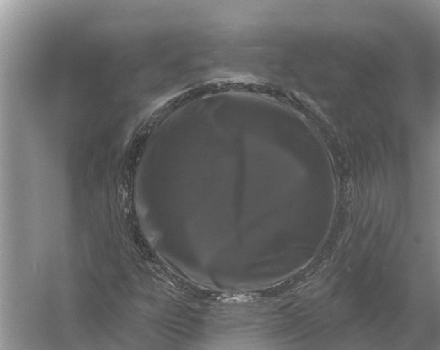 X0000058141303200510072021