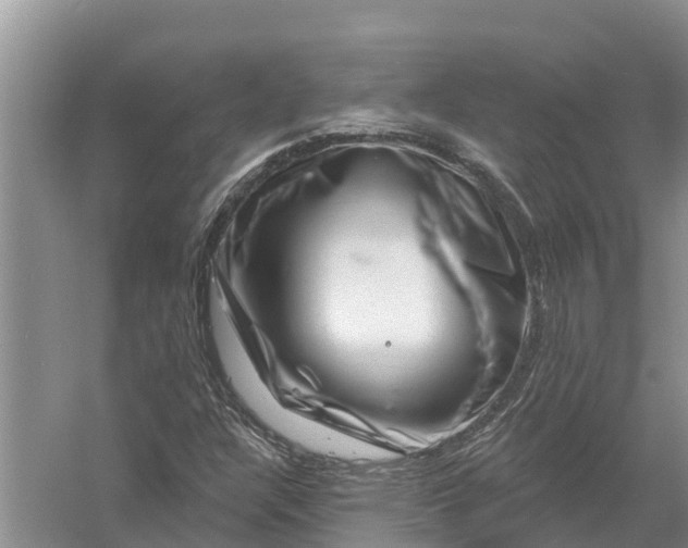 X0000058141304200510072021