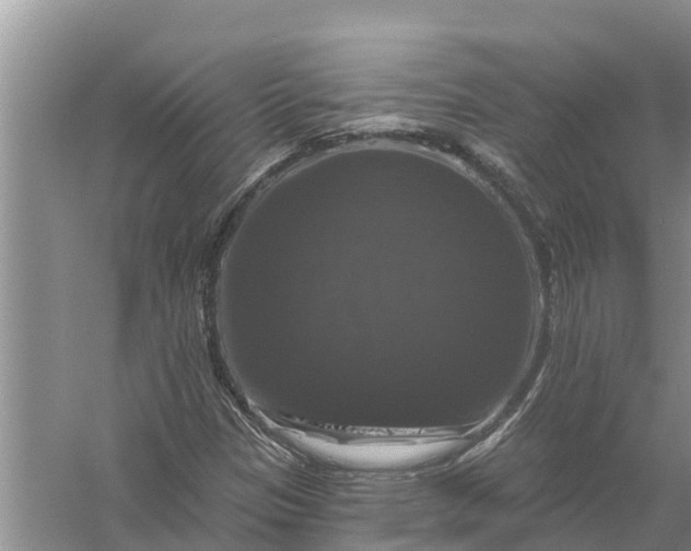 X0000058141305200510072021