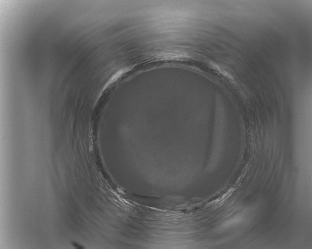 X0000058141306200510072021