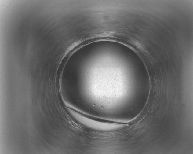 X0000058141308200510072021