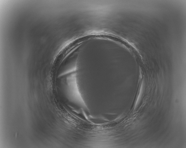 X0000058141311200510072021