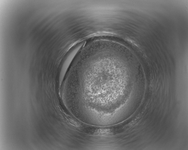 X0000058141313200510072021