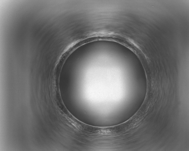 X0000058141315200510072021