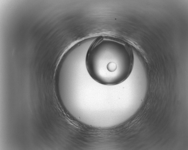 X0000058141316200510072021