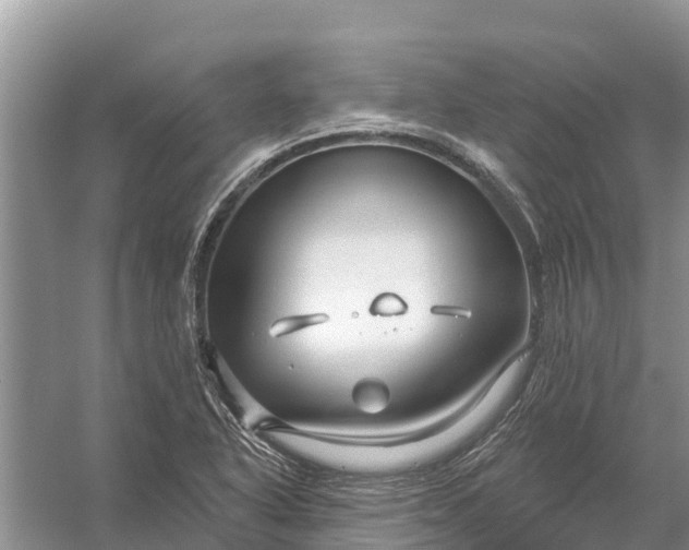 X0000058141318200510072021