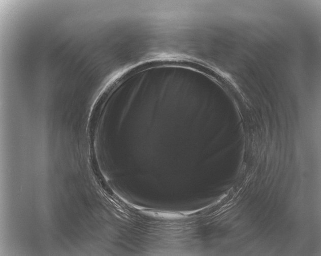 X0000058141319200510072021