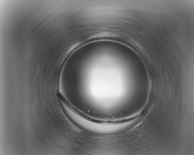 X0000058141321200510072021