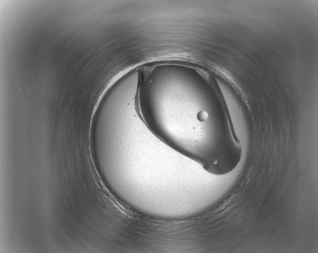 X0000058141324200510072021