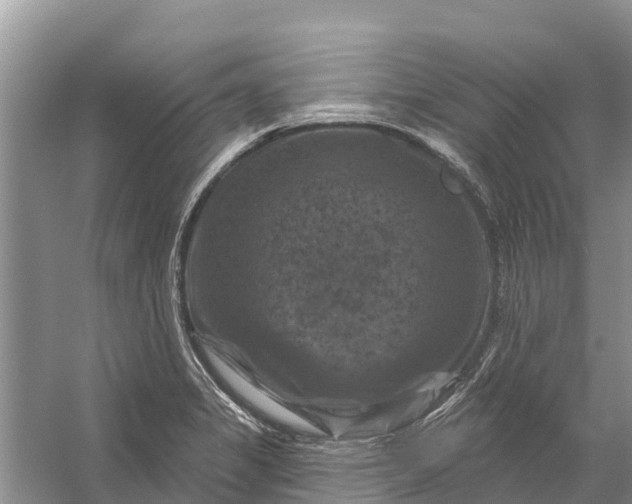 X0000058141325200510072021