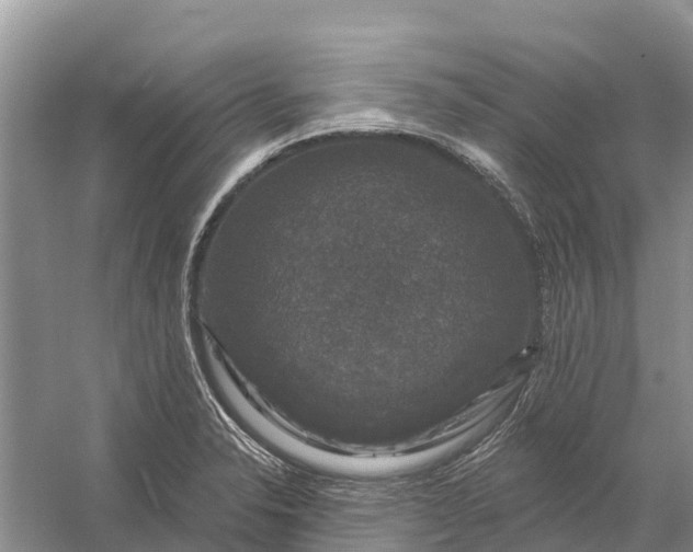 X0000058141326200510072021