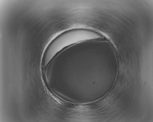 X0000058141327200510072021