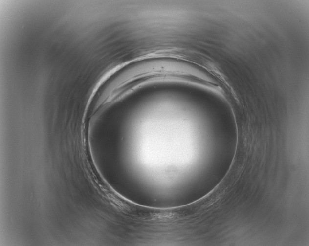 X0000058141328200510072021