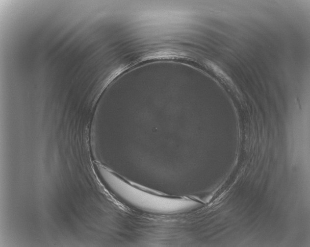 X0000058141329200510072021