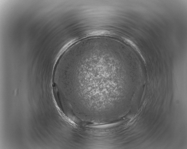 X0000058141330200510072021