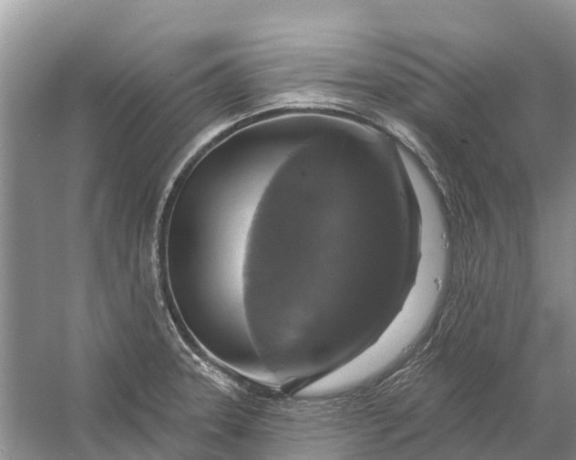 X0000058141331200510072021