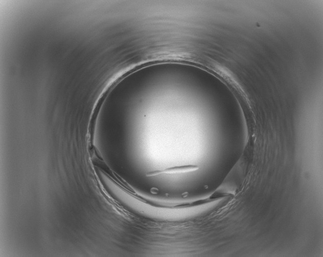 X0000058141332200510072021