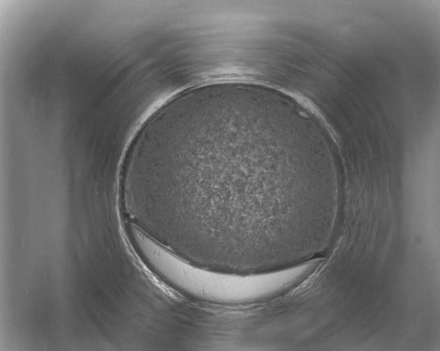 X0000058141333200510072021