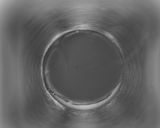 X0000058141334200510072021