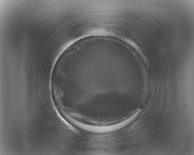 X0000058141335200510072021