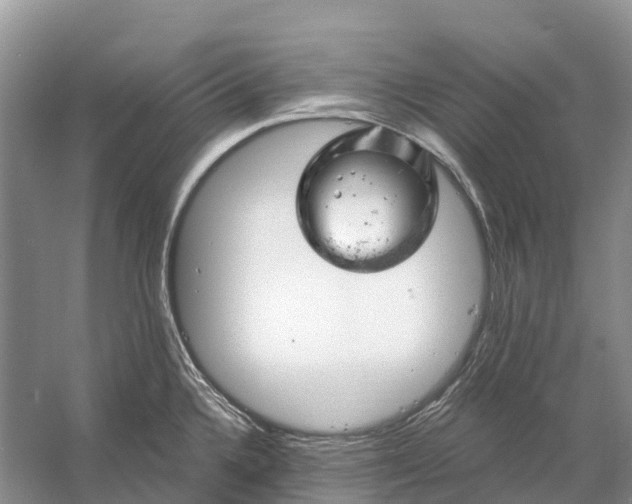 X0000058141336200510072021