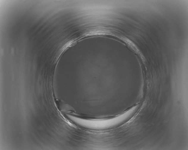 X0000058141337200510072021