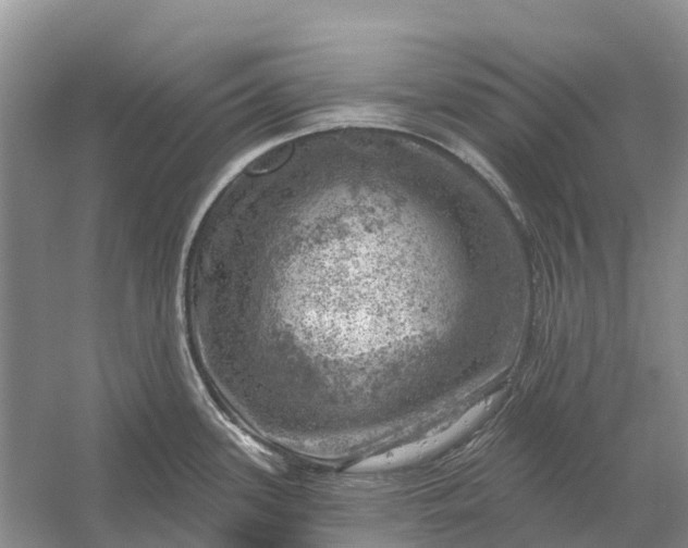 X0000058141339200510072021