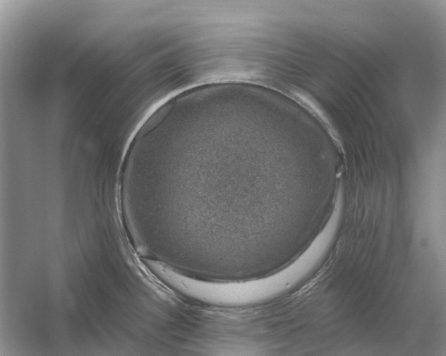 X0000058141340200510072021