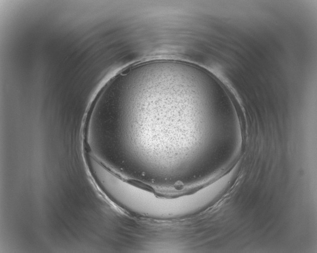 X0000058141341200510072021