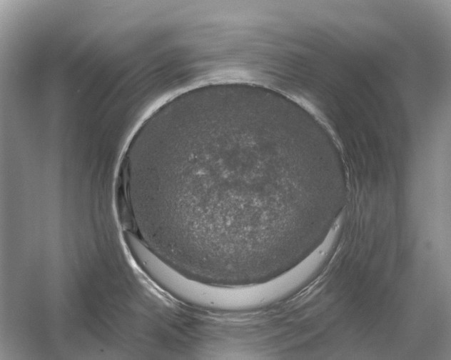 X0000058141342200510072021