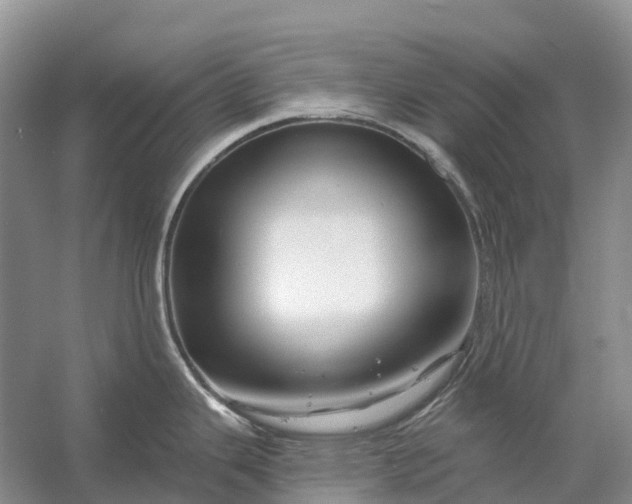 X0000058141343200510072021