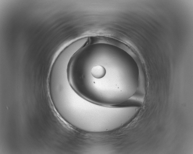 X0000058141344200510072021