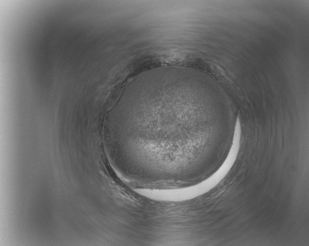 X0000058141345200510072021