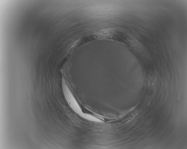 X0000058141346200510072021