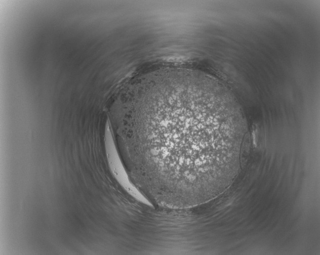 X0000058141347200510072021