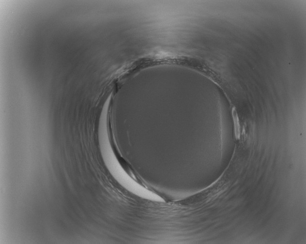 X0000058141348200510072021