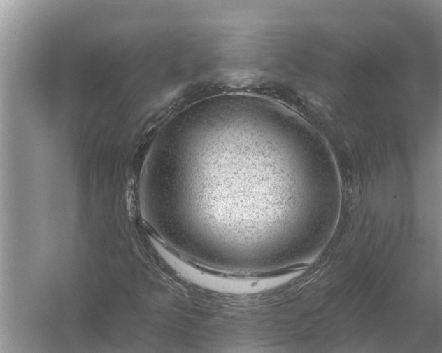 X0000058141349200510072020