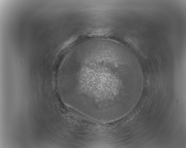 X0000058141350200510072020