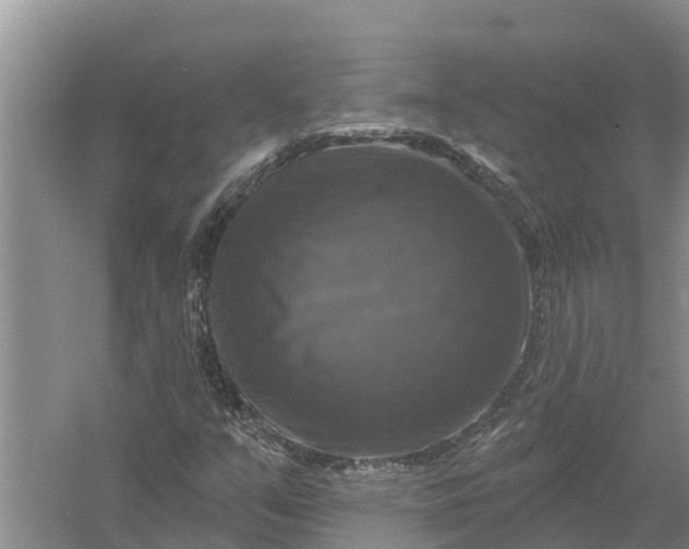 X0000058141351200510072020