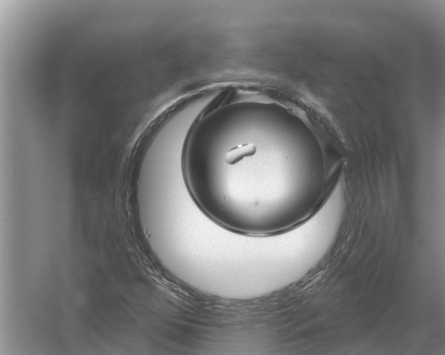 X0000058141352200510072020