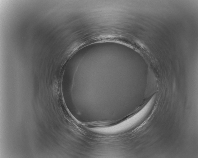 X0000058141353200510072020