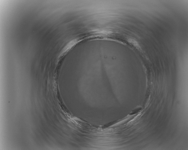 X0000058141354200510072020