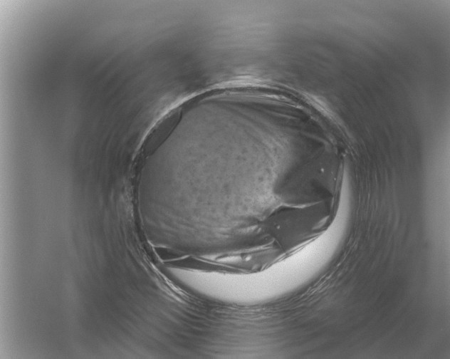 X0000058141356200510072020