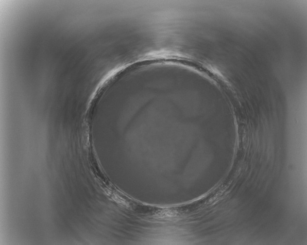 X0000058141358200510072020