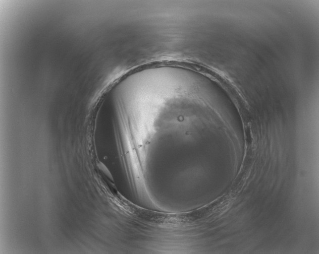 X0000058141359200510072020