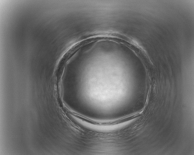 X0000058141360200510072020