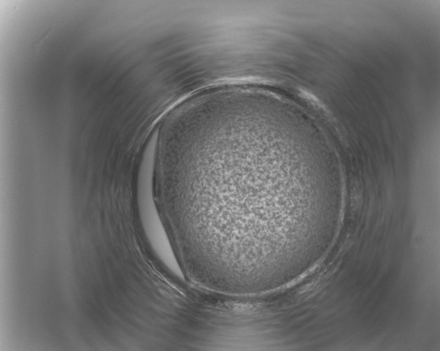 X0000058141361200510072020