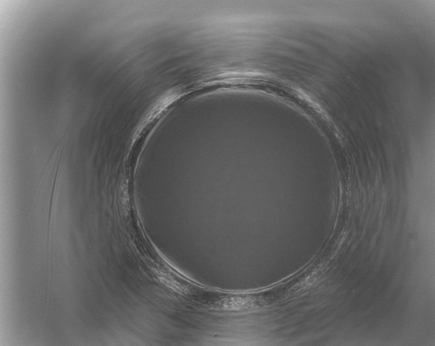 X0000058141362200510072020