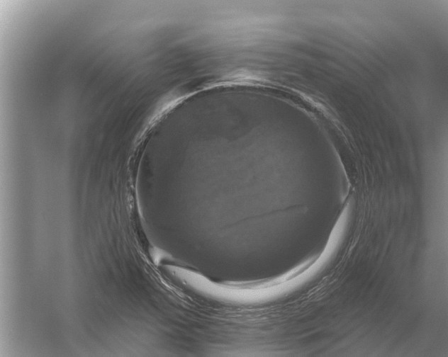 X0000058141363200510072020