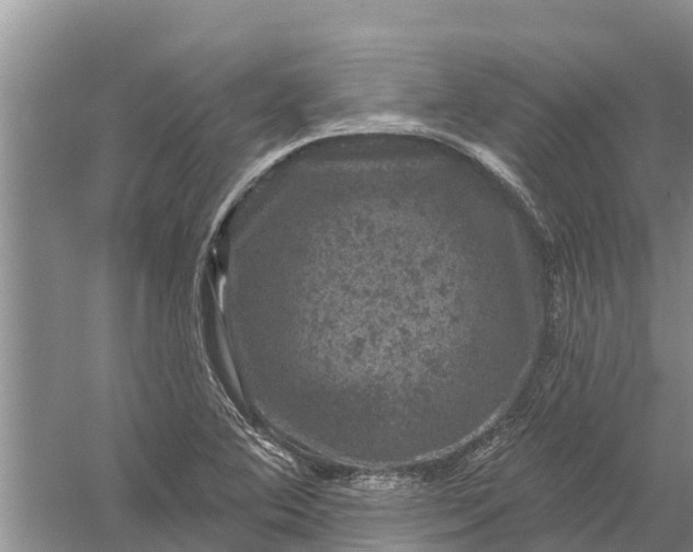 X0000058141364200510072020